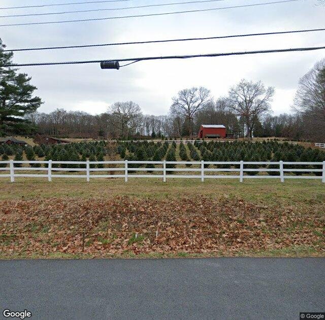 Hickory Ridge Tree Farm in Coventry, CT
