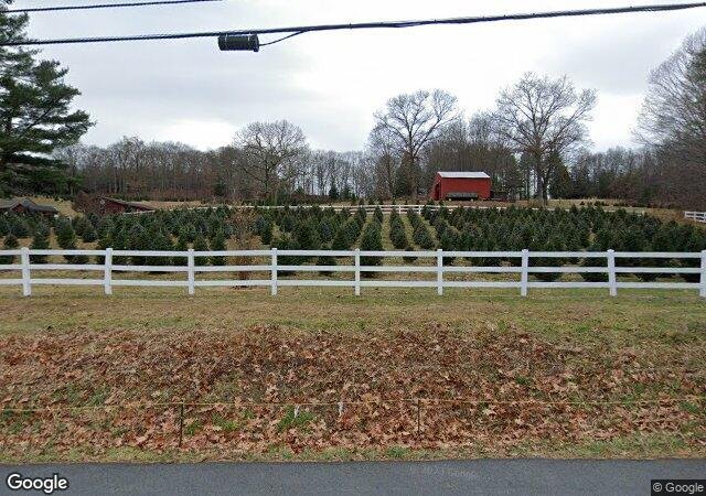 Hickory Ridge Tree Farm in Coventry, CT