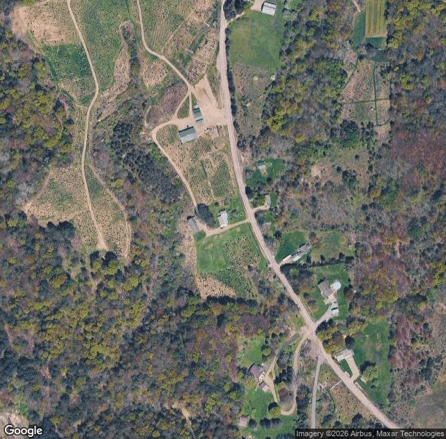 Aerial view of Hill's Christmas Tree Farm in Springville, NY