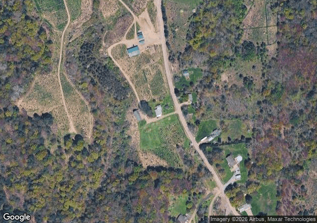 Aerial view of Hill's Christmas Tree Farm in Springville, NY