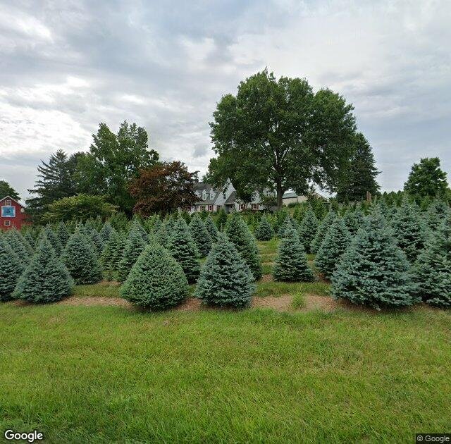 Hirt Tree Farm in Westminster, MD