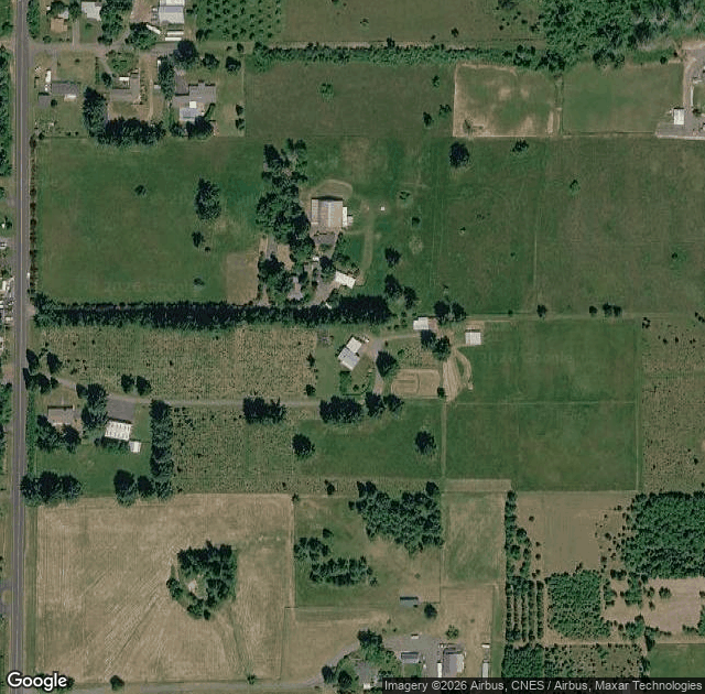 Aerial view of Hladky's Tree Farm in Pleasant Hill, OR