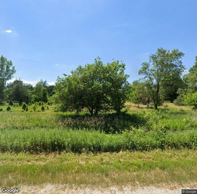 Hoffman Tree Farm in Marion, IA
