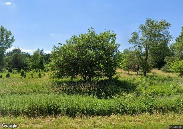 Hoffman Tree Farm in Marion, IA