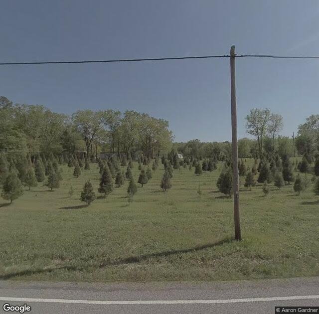 Holiday Forest Christmas Tree Farm (Geisler's) in Jacksonville, AR