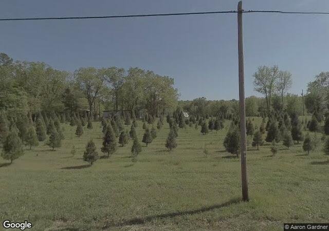 Holiday Forest Christmas Tree Farm (Geisler's) in Jacksonville, AR