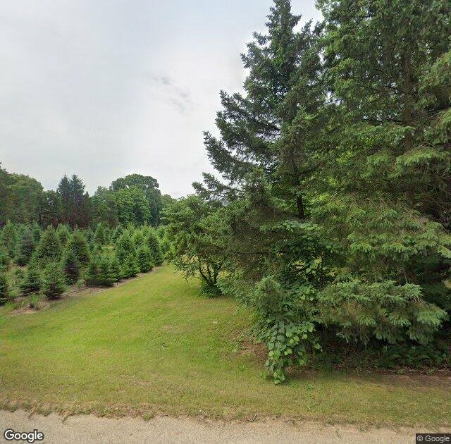 Janke Tree Farm in Allegan, MI