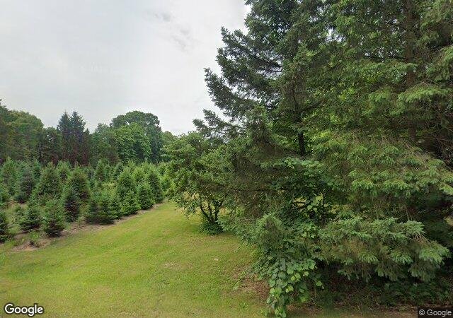 Janke Tree Farm in Allegan, MI