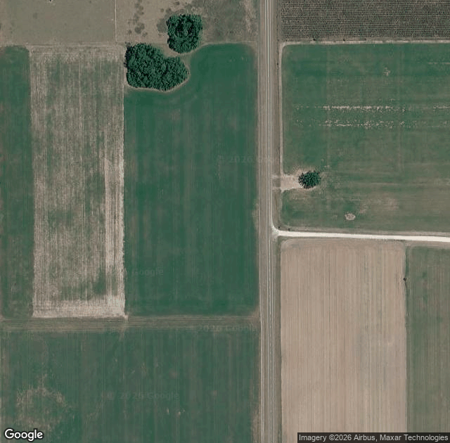 Aerial view of Jones' Christmas Tree Farm in Branford, FL