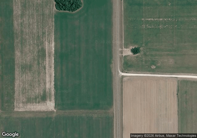 Aerial view of Jones' Christmas Tree Farm in Branford, FL