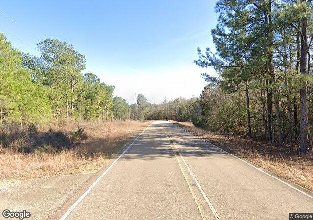 Kennedy's Christmas Tree Farm in Franklinton, LA