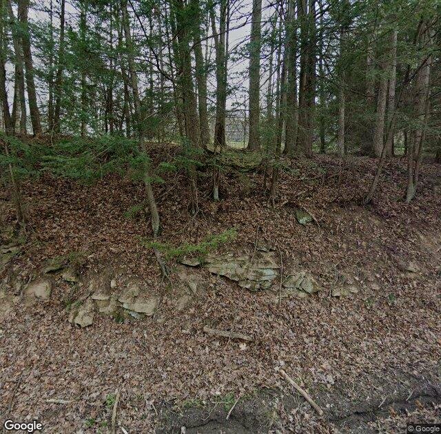King's Trees in Bruceton Mills, WV