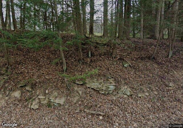 King's Trees in Bruceton Mills, WV