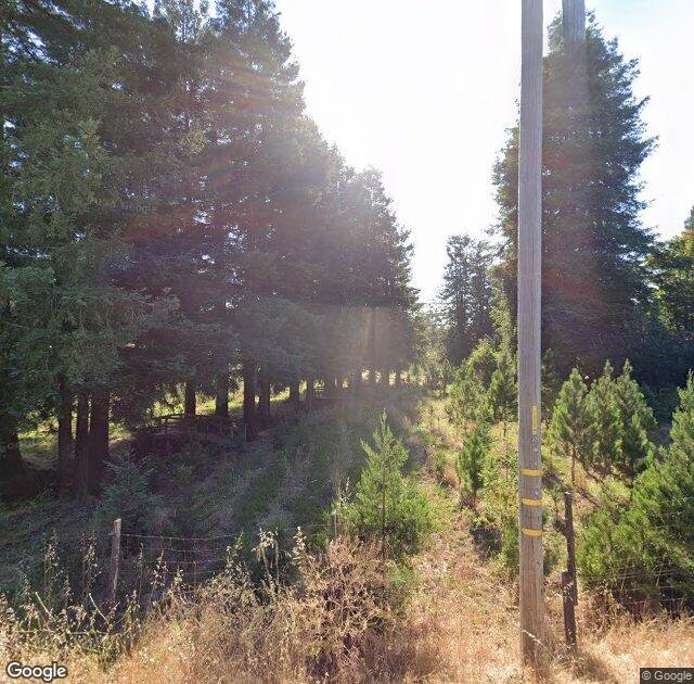 Larsen's Christmas Tree Farm in Petaluma, CA