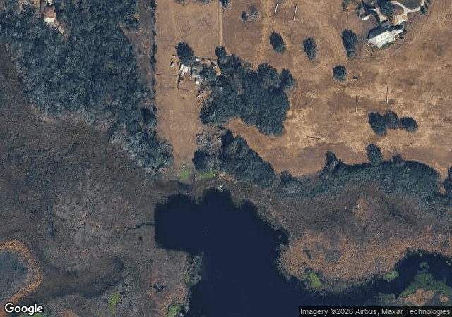 Aerial view of Lazy Lay Acres Christmas Tree Farm in Dade City, FL