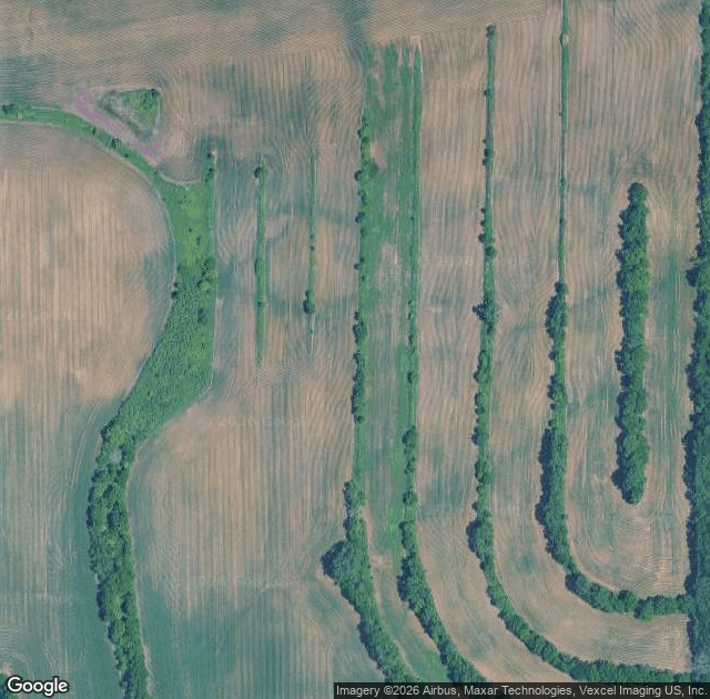 Aerial view of Lee's Trees in Lily Lake, IL