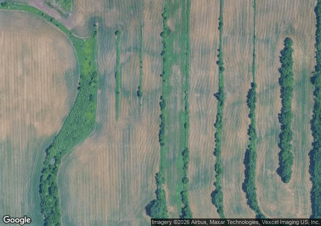 Aerial view of Lee's Trees in Lily Lake, IL