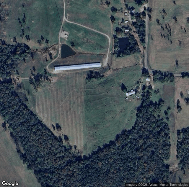 Aerial view of Lollis Christmas Tree Farm in Rudy, AR