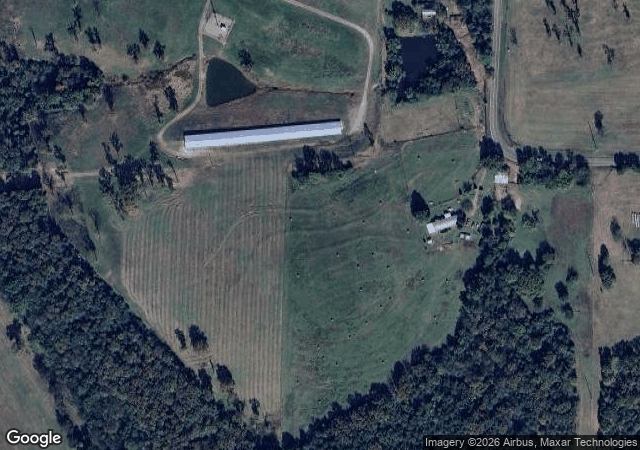 Aerial view of Lollis Christmas Tree Farm in Rudy, AR