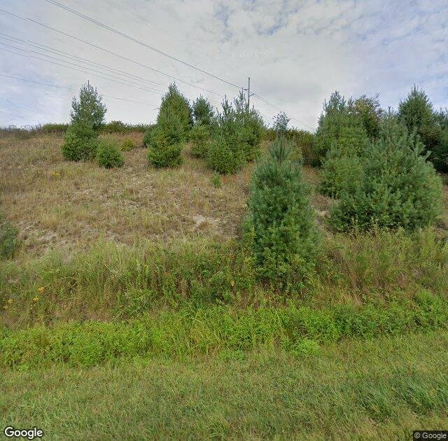 Long's Christmas Tree Farm in West Jefferson, NC