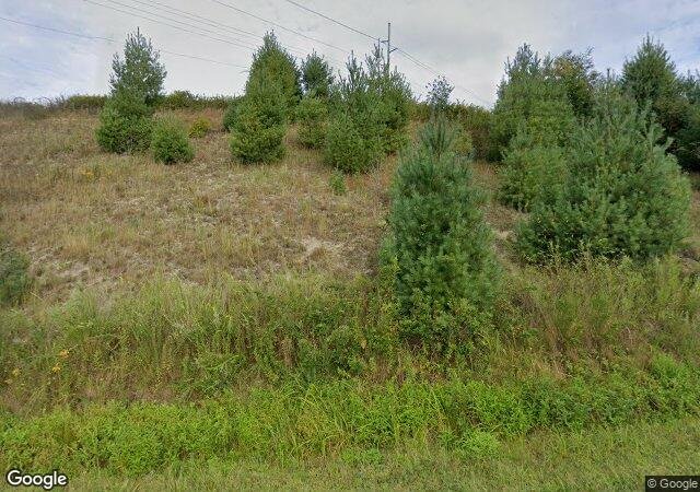 Long's Christmas Tree Farm in West Jefferson, NC