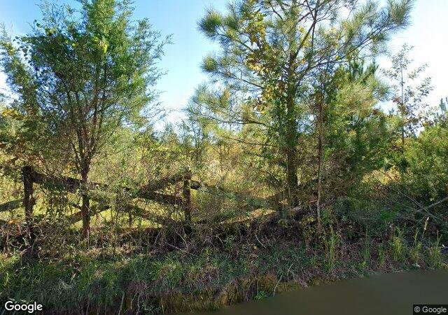 Lowery Family Christmas Tree Farm (The Resting Place) in Flora, MS
