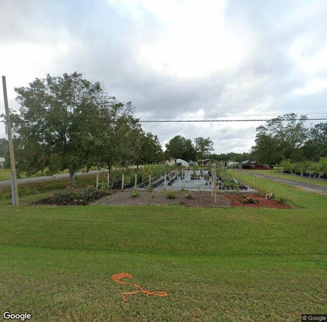 Maphis Tree Farm & Nursery in Chipley, FL