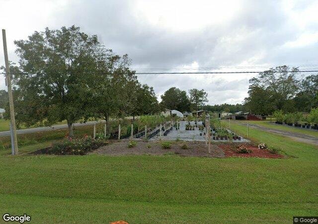 Maphis Tree Farm & Nursery in Chipley, FL
