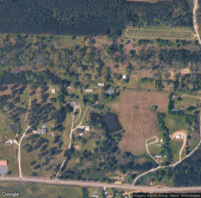 Aerial view of McAlpine Christmas Tree Farm in Bismarck, AR