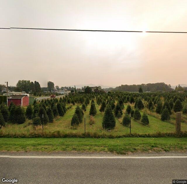 McLean Christmas Tree Farm in Mount Vernon, WA