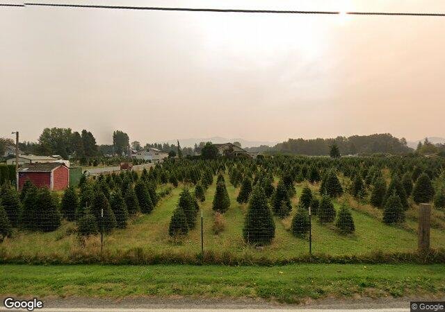McLean Christmas Tree Farm in Mount Vernon, WA