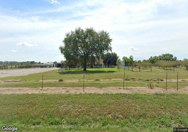 Merket Christmas Tree Farm in Beckville, TX