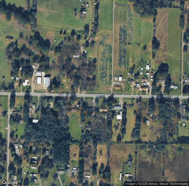 Aerial view of Mistletoe Christmas Tree Farm in Lonoke, AR