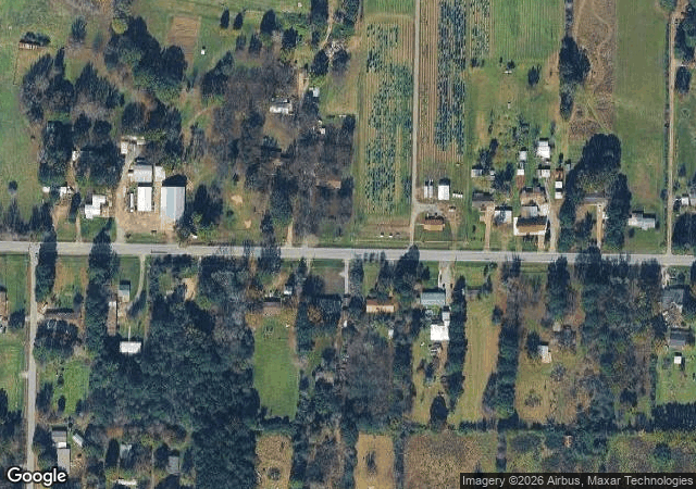 Aerial view of Mistletoe Christmas Tree Farm in Lonoke, AR