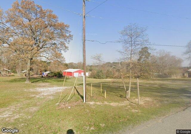 Motley's Christmas Tree Farm in Little Rock, AR