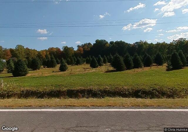 Mountain Creek Tree Farm in Concord, OH