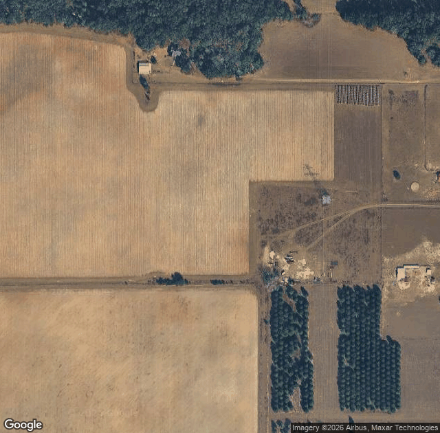 Aerial view of Nicholas's Christmas Tree Farm in Summerfield, FL