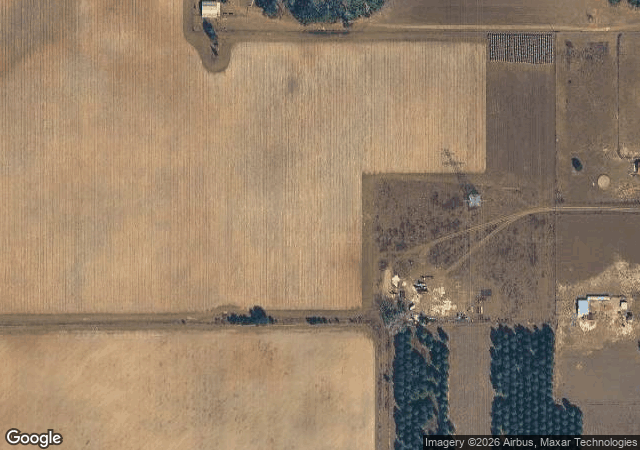 Aerial view of Nicholas's Christmas Tree Farm in Summerfield, FL
