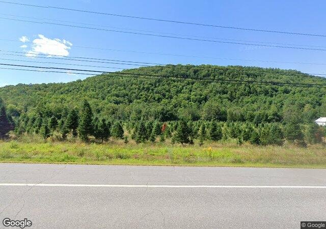 Nichols Trees in Lyme, NH