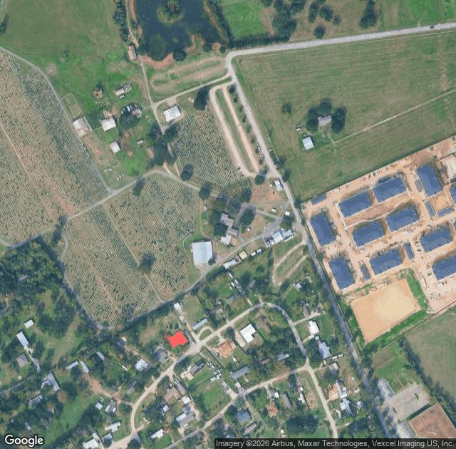 Aerial view of Old Time Christmas Tree Farm in Spring, TX