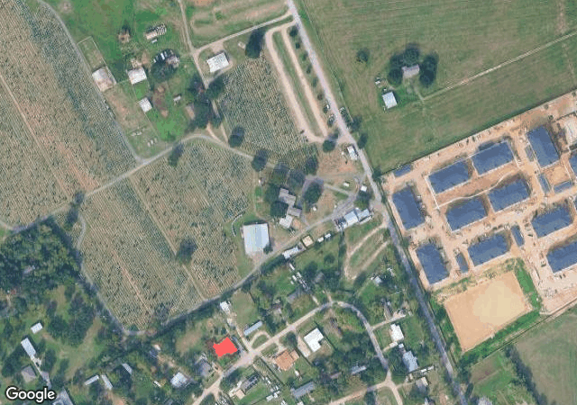 Aerial view of Old Time Christmas Tree Farm in Spring, TX