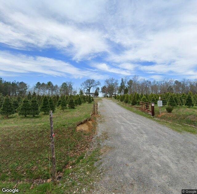 O'Neal's Christmas Tree Farm in Amelia Court House, VA