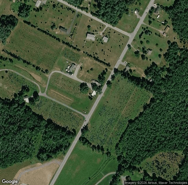 Aerial view of Paine's Christmas Trees in Morrisville, VT