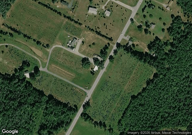 Aerial view of Paine's Christmas Trees in Morrisville, VT