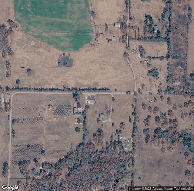Aerial view of Pine Grove Christmas Tree Farm in Charleston, AR
