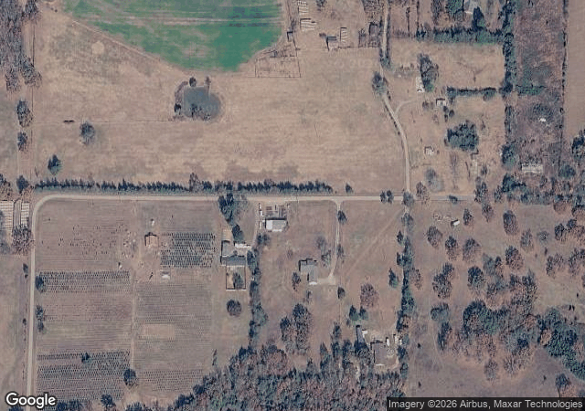 Aerial view of Pine Grove Christmas Tree Farm in Charleston, AR