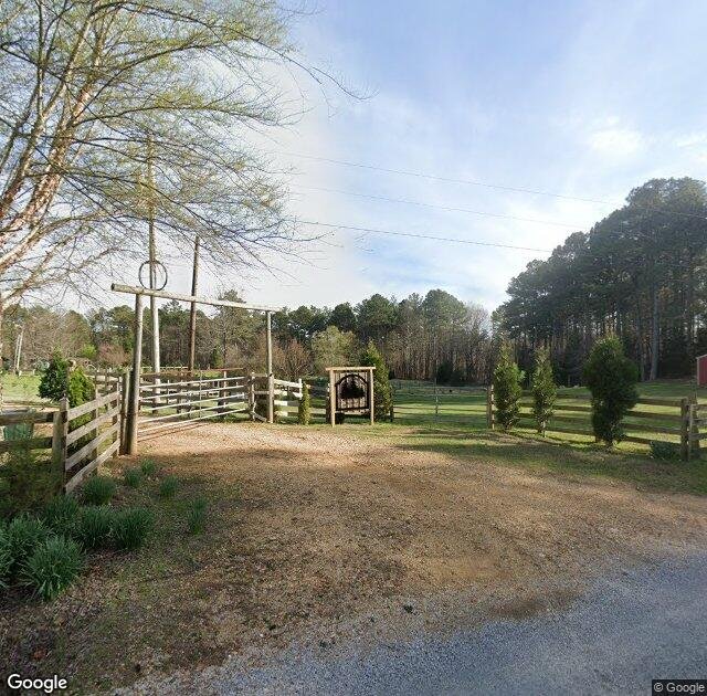 Pine Mountain Christmas Tree Farm in Walnut, MS
