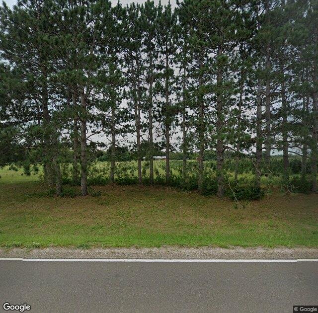 Pinestead Tree Farms in Isanti, MN