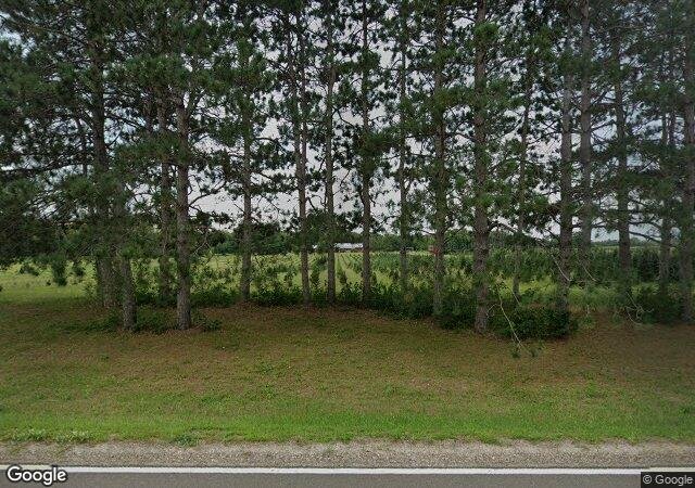 Pinestead Tree Farms in Isanti, MN