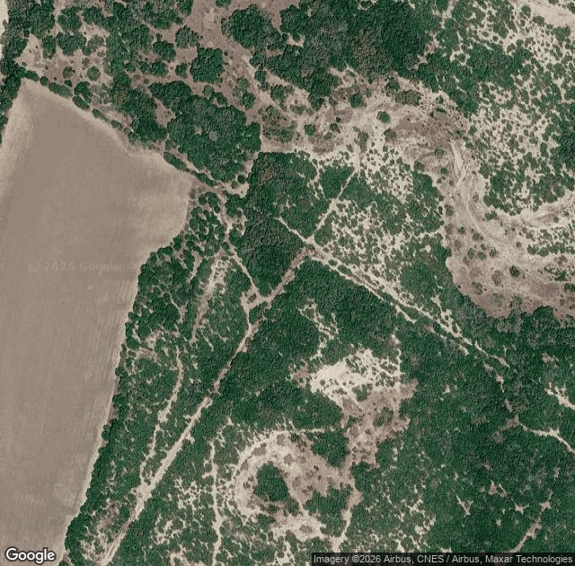 Aerial view of Pipe Creek Christmas Tree Farm in Pipe Creek, TX